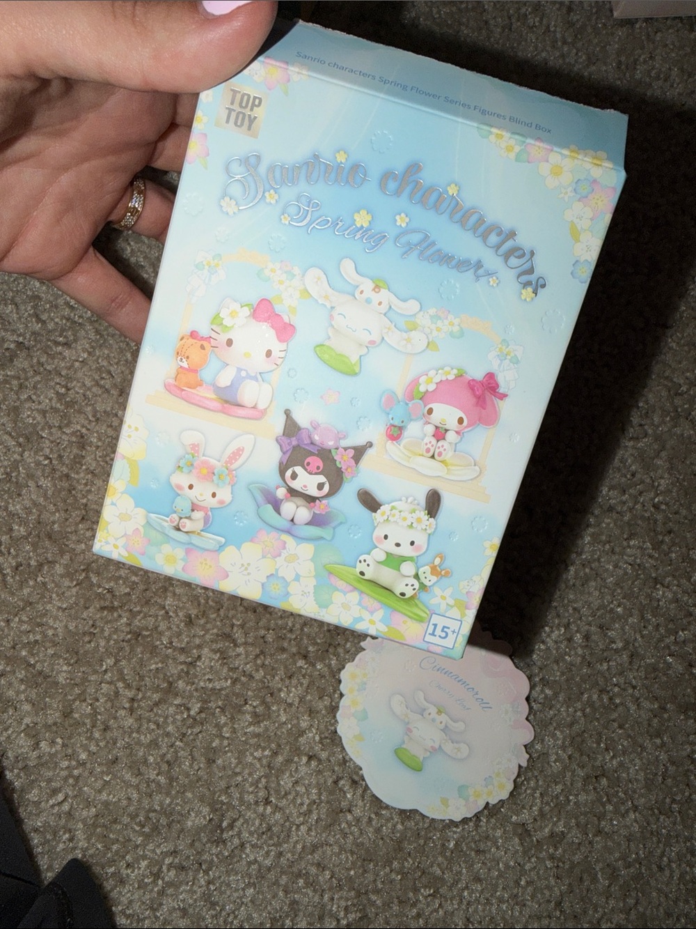Sanrio Blind Box CINNAMOROLL CONFIRMED.